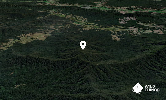 Edwards Knob