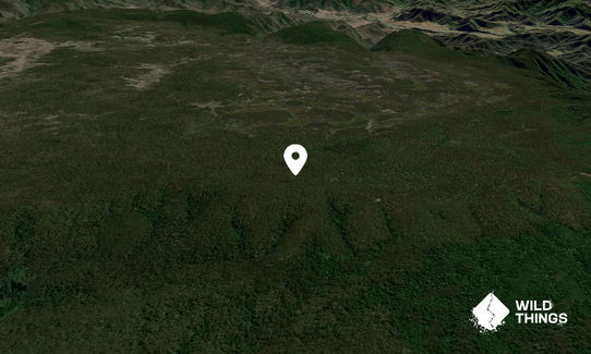 Feltons Knob