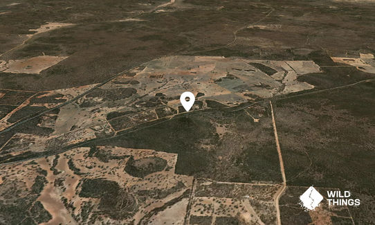 Forked Mountain