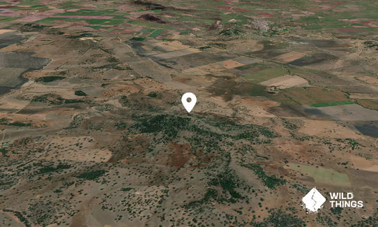 Four Mile Mountain