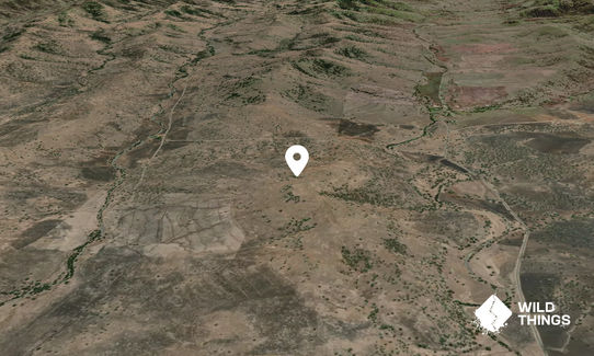 Galla Gilla Mountain