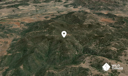 Goat Mountain
