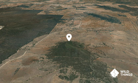 Goonbri Mountain