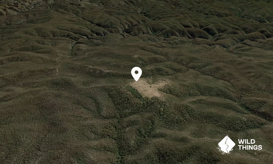 Gospers Mountain