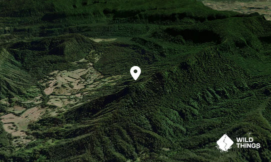 Green Pigeon Mountain