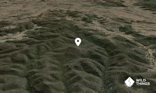 Gulf Sugarloaf