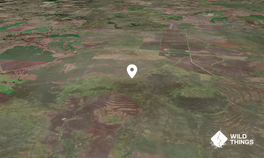 Gunnee Hills
