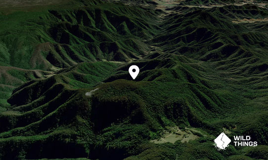 Hogsback Mountain