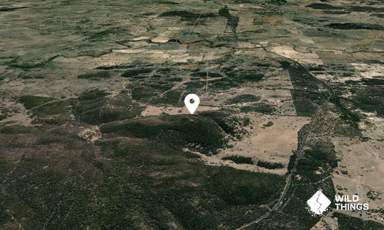 Hogues Mountain