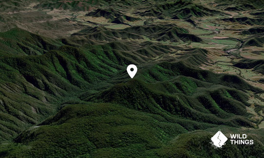 Junction Knob
