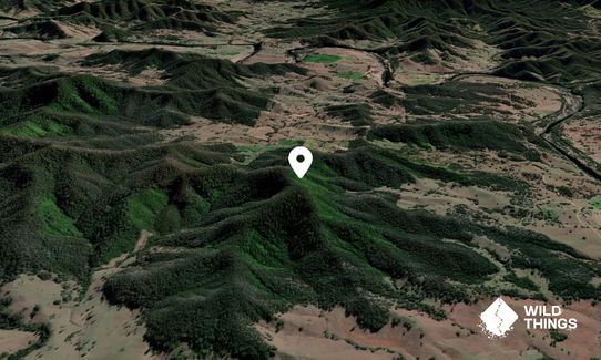 Kerrs Hill