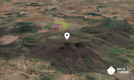 King Jack Mountain