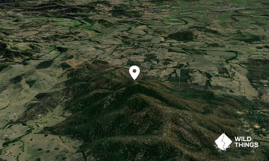 Kiwarric Mountain