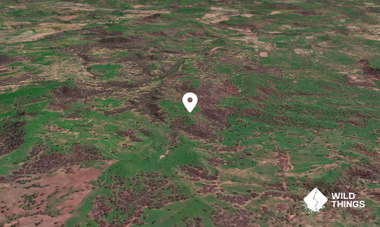 Koolgardie Hill