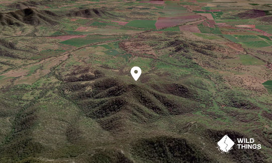 Larrys Peak