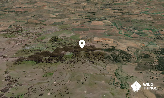 Learys Hill