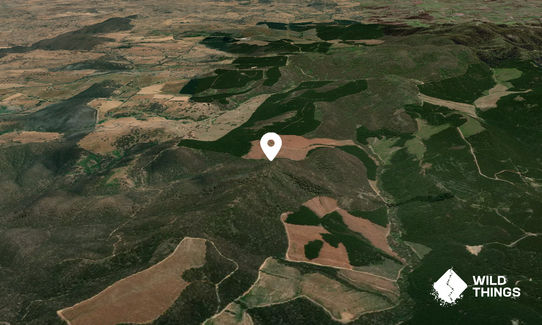 Lees Mountain