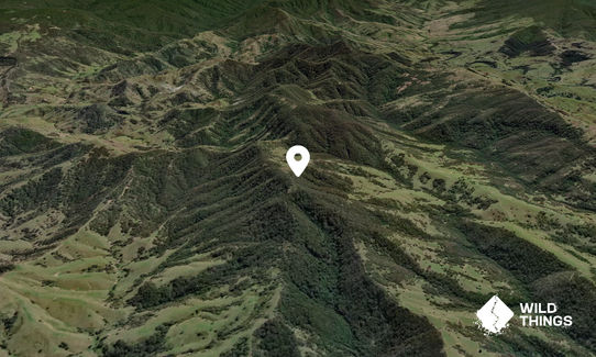 Little Black Jack Mountain