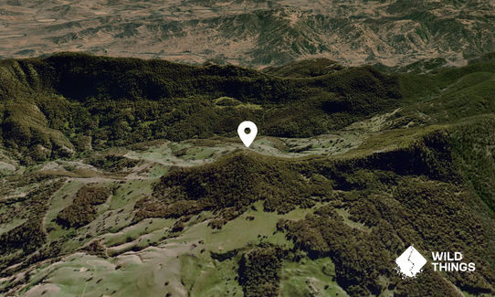 Little Jacky Mountain