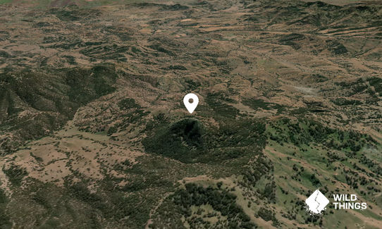 Loders Pinnacle