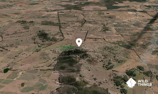 Lowes Peak