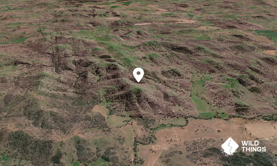 Mollys Mountain