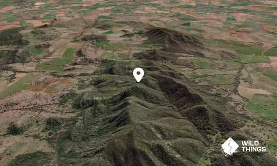 Moolunmoola Mountain
