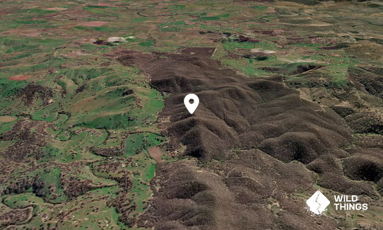 Mount Airey