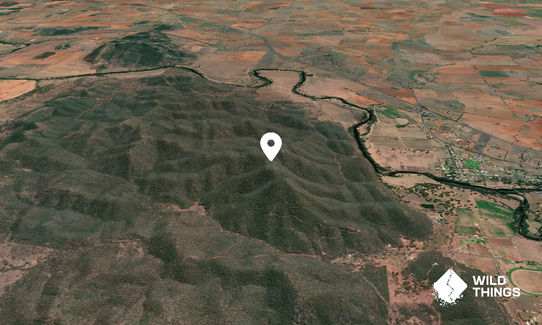 Mount Arthur