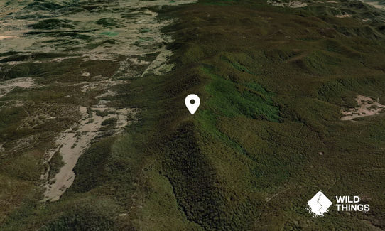 Mount Bajimba