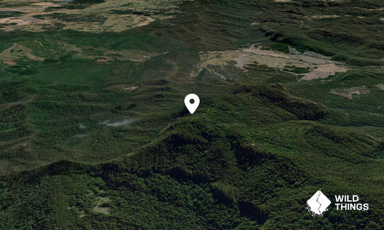 Mount Belmore