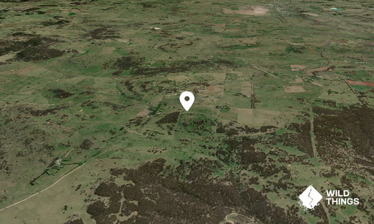 Mount Boral