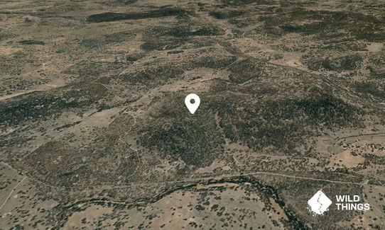 Mount Brown