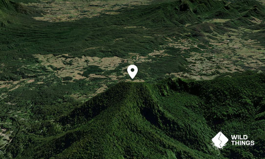 Mount Burrell