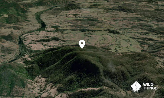 Mount Carnham