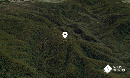 Mount Carrington