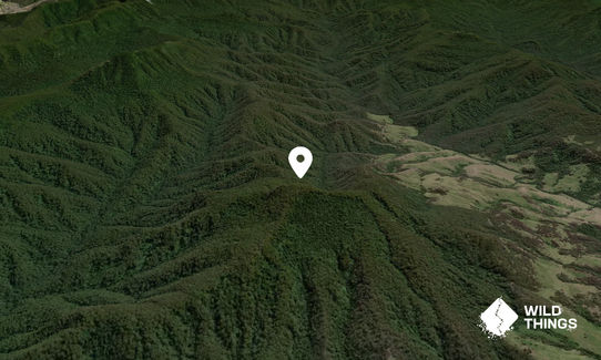 Mount Carrow
