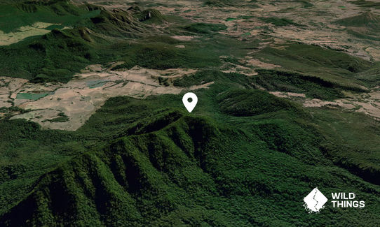 Mount Clunie