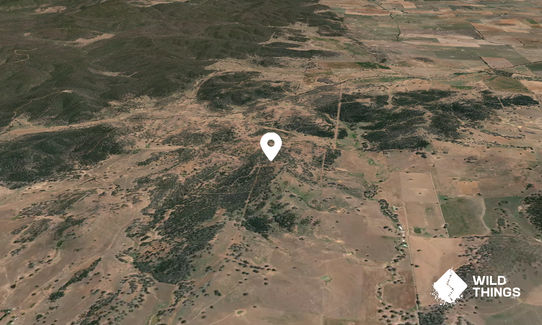 Mount Cole