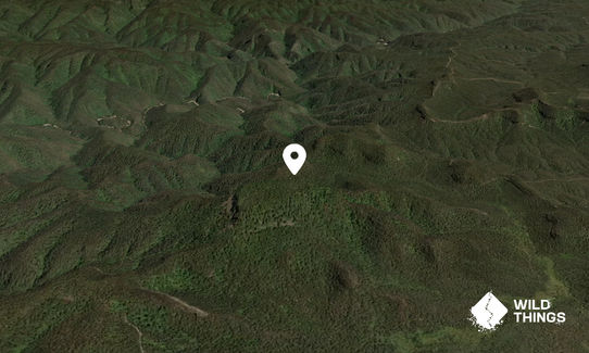 Mount Colong