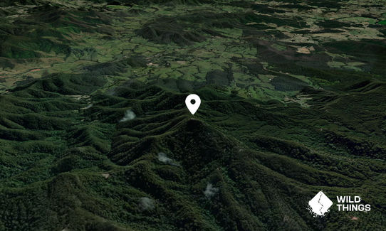 Mount Comboyne
