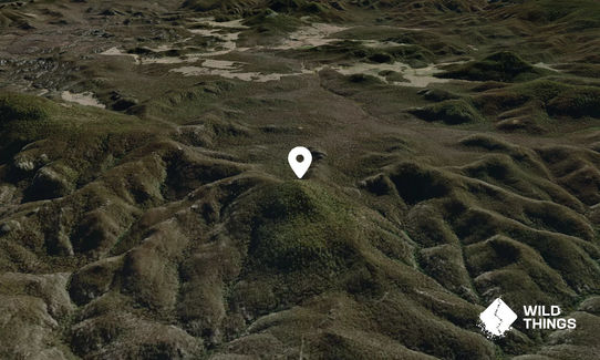 Mount Coorongooba