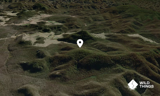 Mount Darcy
