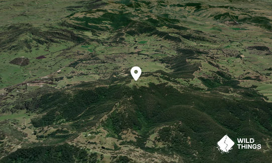 Mount Douglas