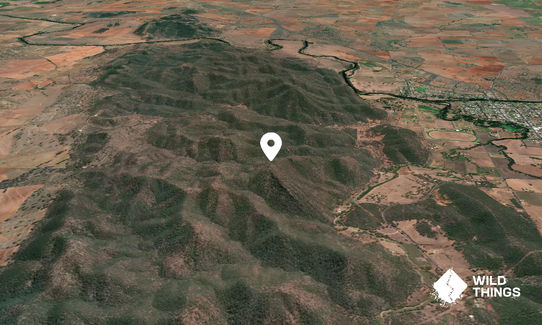 Mount Duke