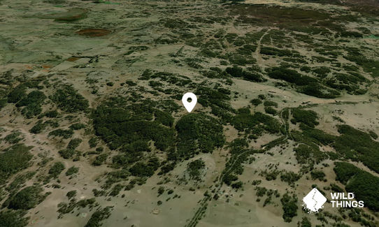 Mount Duncan