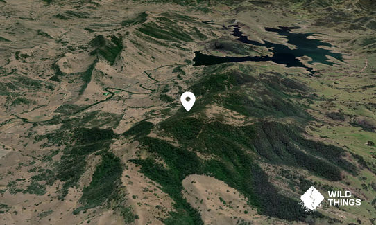 Mount Dyrring