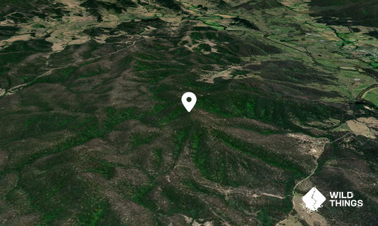 Mount Ebsworth