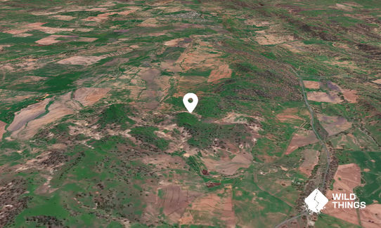 Mount Elijah