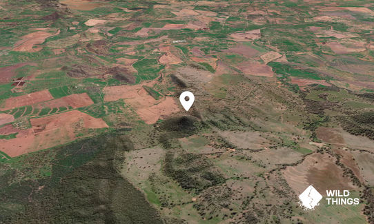 Mount Erangaroo